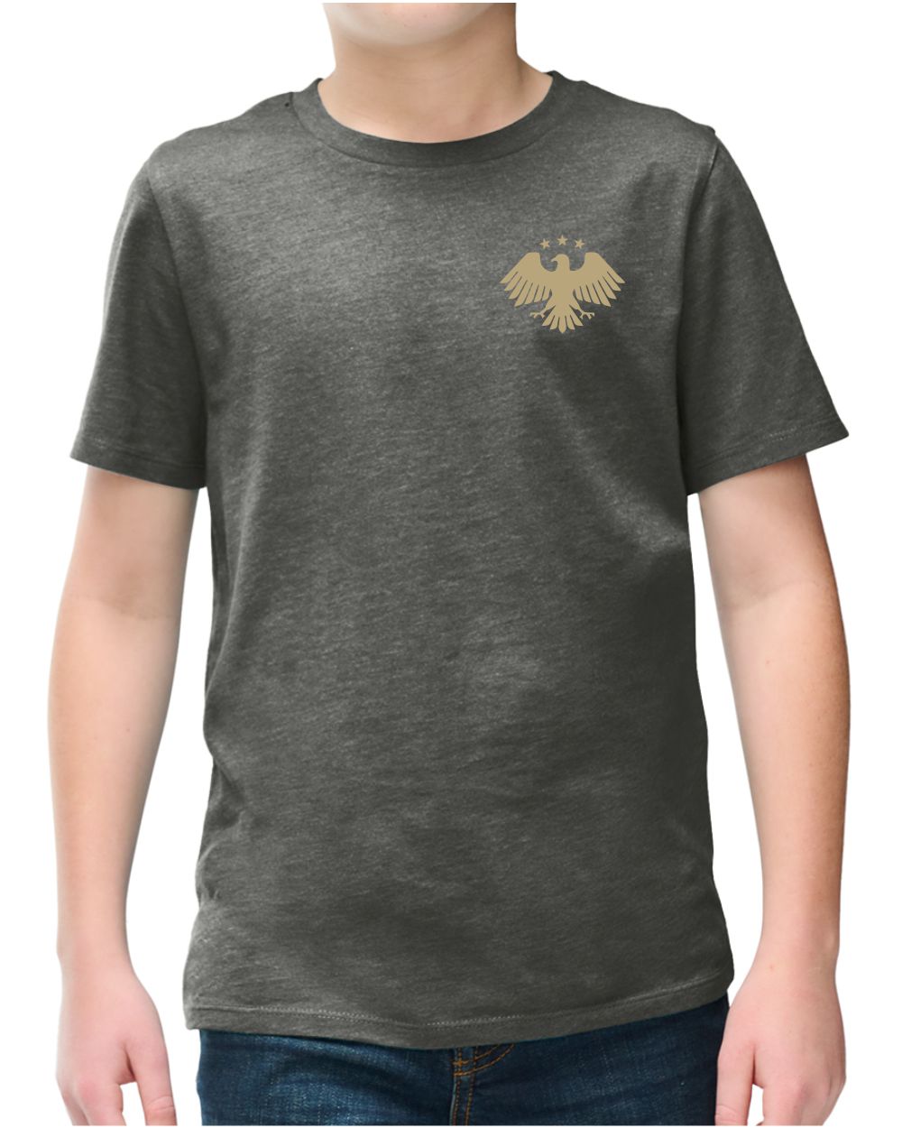 District S/S Perfect Blend Syria's New Eagle T-Shirt, color: Heathered Charcoal