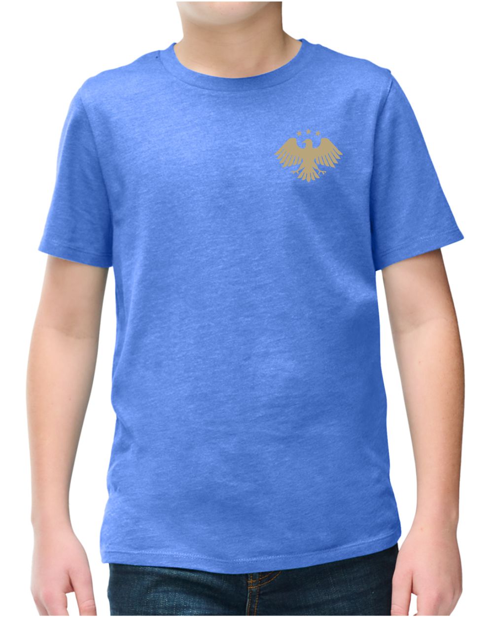 District S/S Perfect Blend Syria's New Eagle T-Shirt, color: Heathered Royal